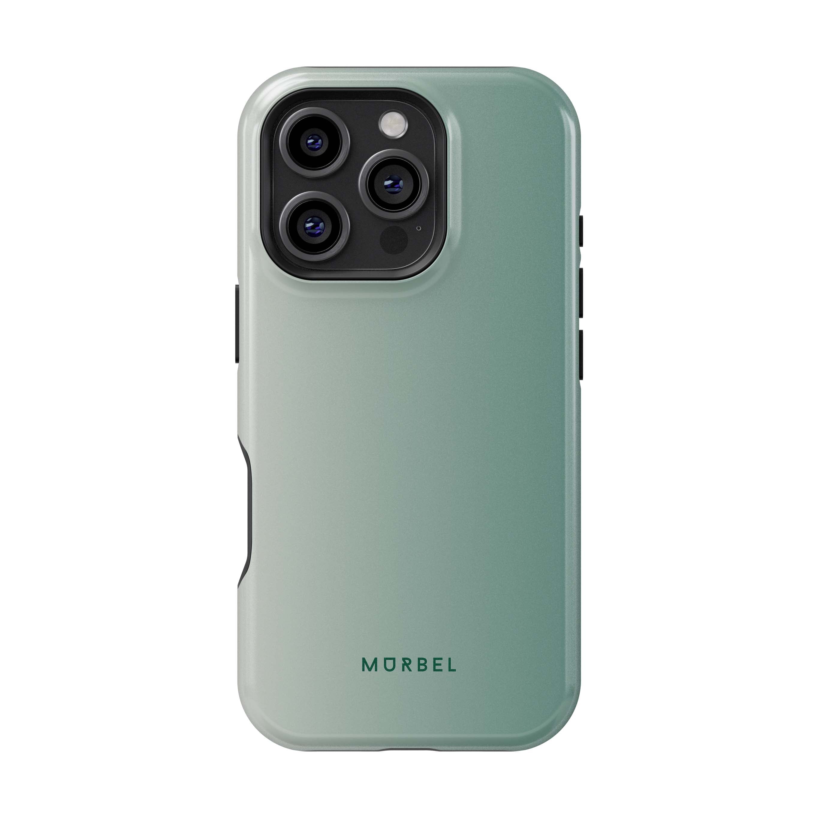 iPhone 16 Pro iPhone 16 Pro