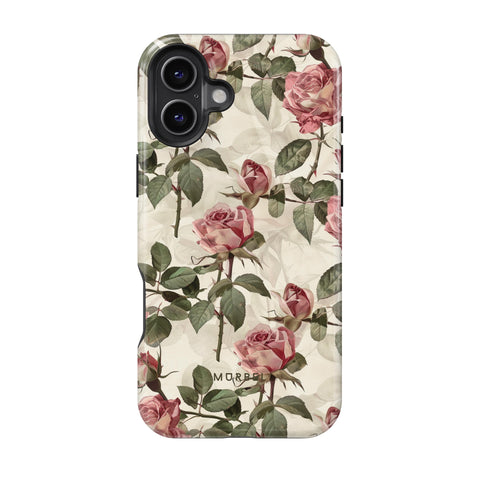 iPhone 16 Plus
