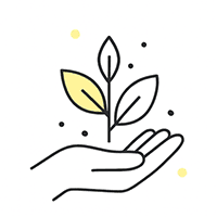 Eco-Friendly Materials